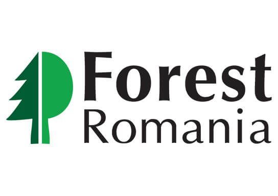 Forest Romania