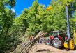 Seilkransystem für effiziente und nachhaltige Abholzung