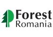 Forest Romania